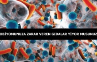 Sağlıksız beslenme bağırsak mikrobiyomuna zarar veriyor
