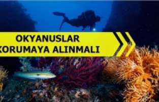 Okyanusların yüzde 30’u 2030’a kadar koruma altına alınmalı