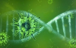 T hücreleri Omicron varyantına karşı güçlü engel oluşturuyor