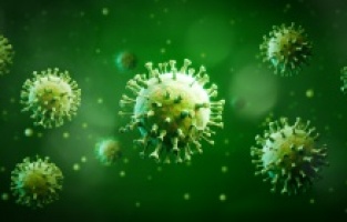HPV Nedir? Belirtileri Nelerdir? HPV Aşısı Nedir?