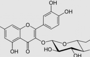 İsoquercetin, akciğer kanserinin büyümesini ve oluşmasını engelleyebilir