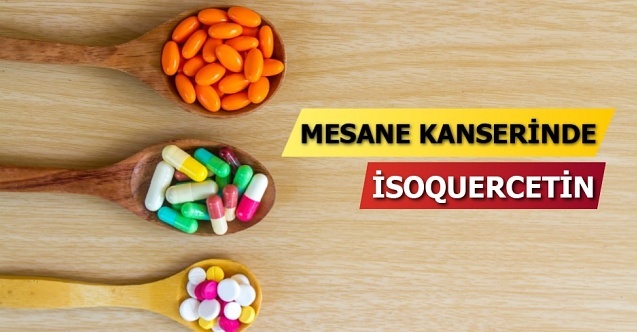İsoquercetin mesane kanseri nüksünü önleyebilir!