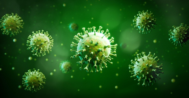 HPV Nedir? Belirtileri Nelerdir? HPV Aşısı Nedir?