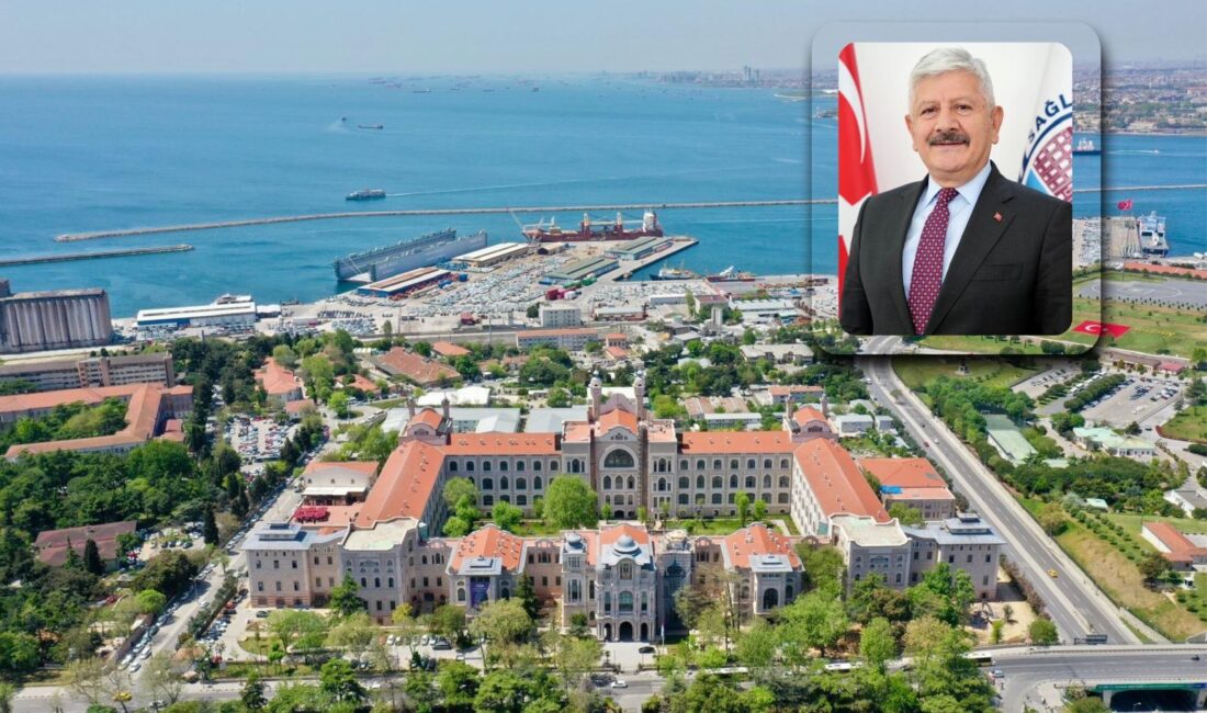 Sağlık Bilimleri Üniversitesi (SBÜ), kökleri