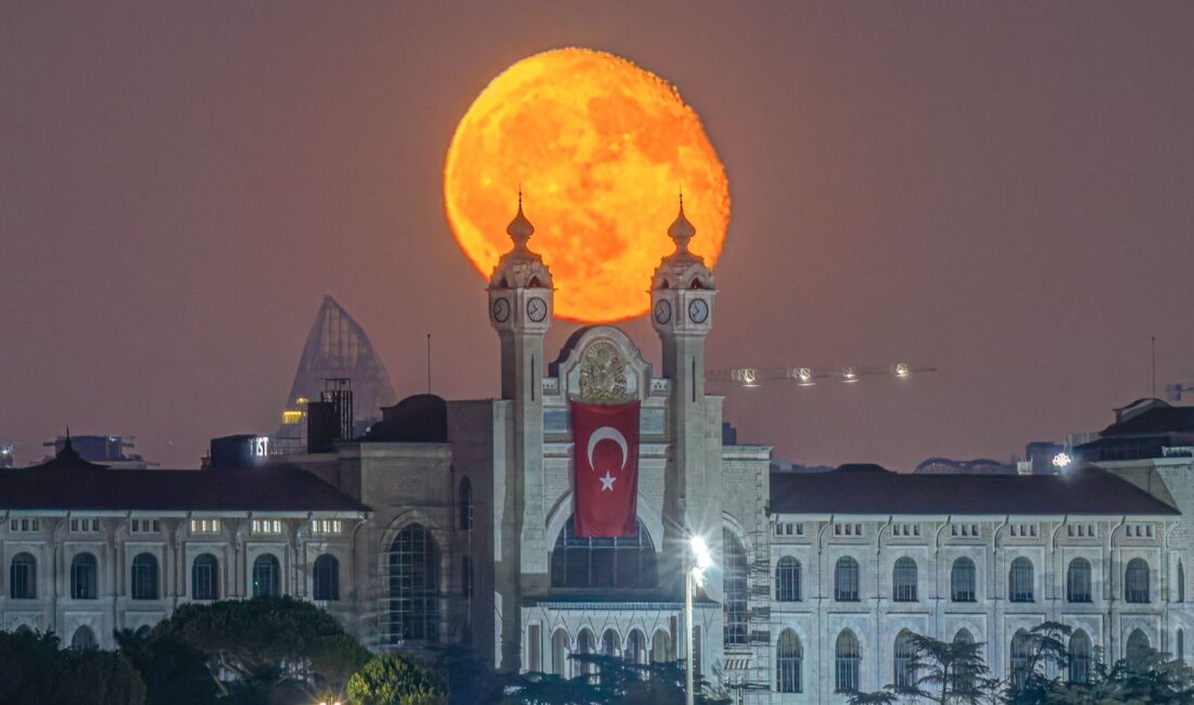 14 Mart Tıp Bayramı, aslında bir kutlamadan çok daha fazlası…