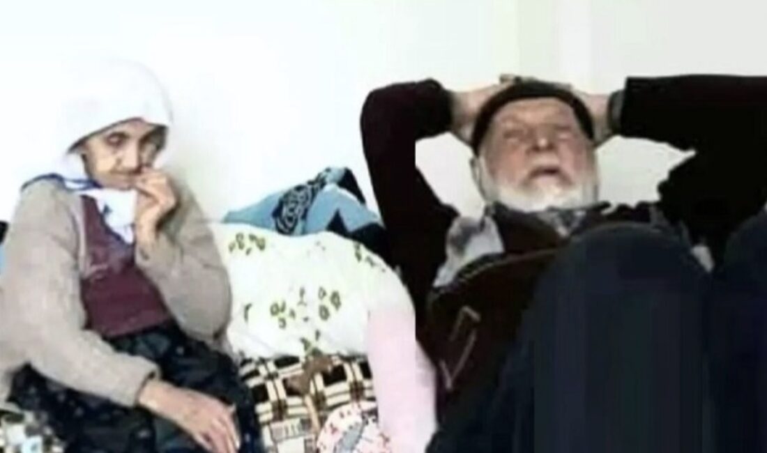 Ordu’nun İkizce ilçesinde 94 yaşındaki Veli Teke ve 93 yaşındaki